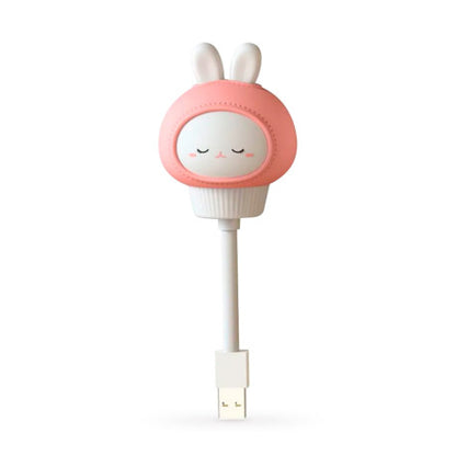 Luce Usb